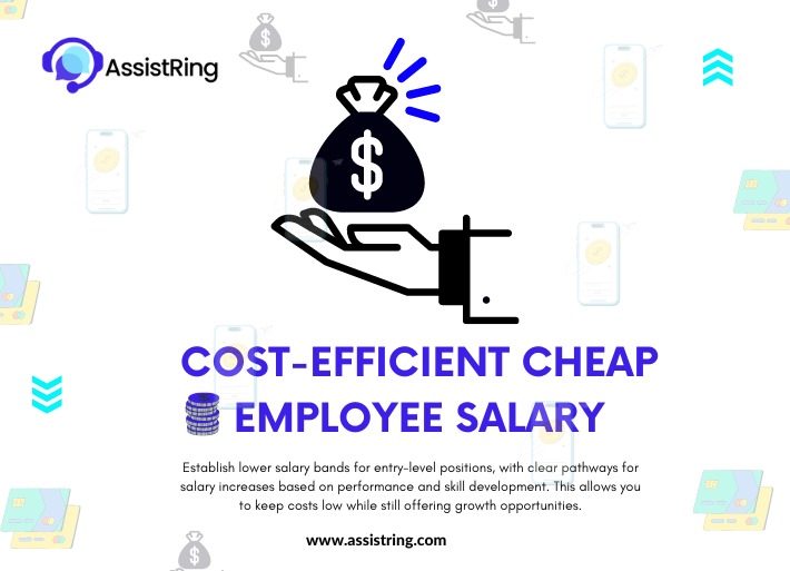 Cost-Efficient Cheap Employee Salary: Building a Productive Workforce on a Budget